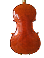 Violina 3 Trbuh Pozadina